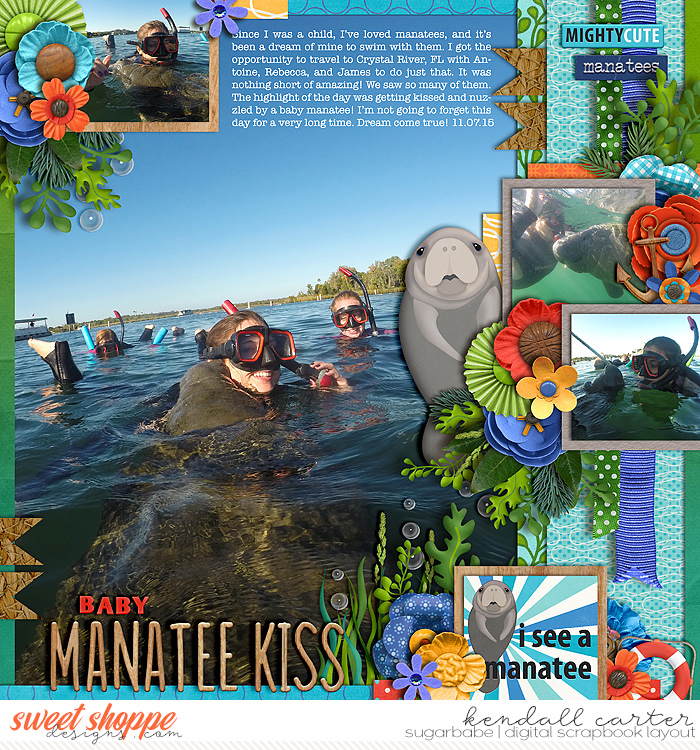 Baby Manatee Kiss