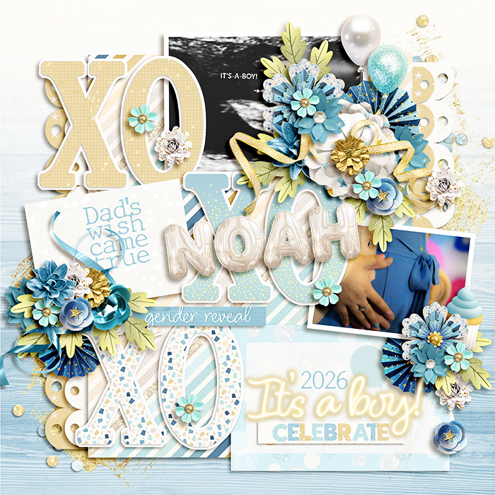 Baby Noah-Gender Reveal