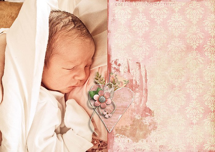 Babybook 1  - In momma's arms