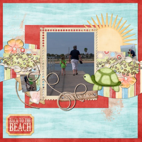 Back to the Beach