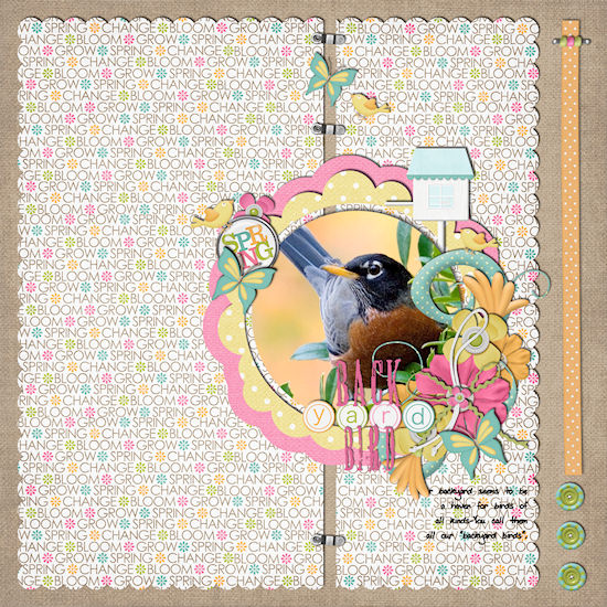 Backyard Bird