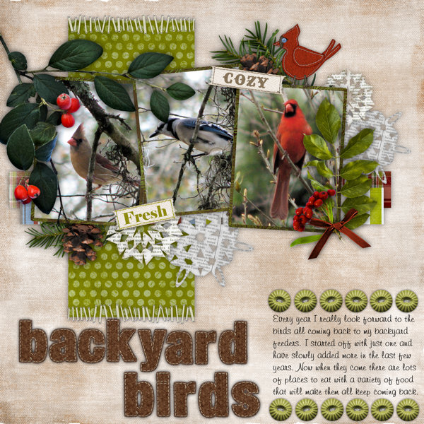 Backyard Birds