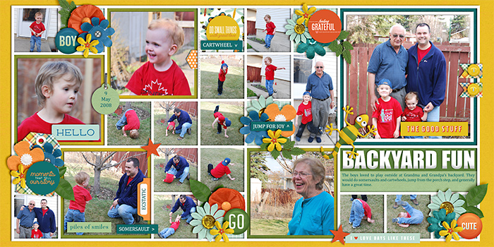 Backyard Fun