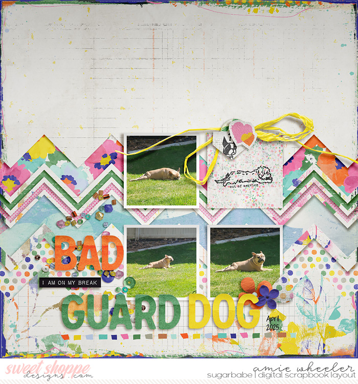 Bad Guard Dog