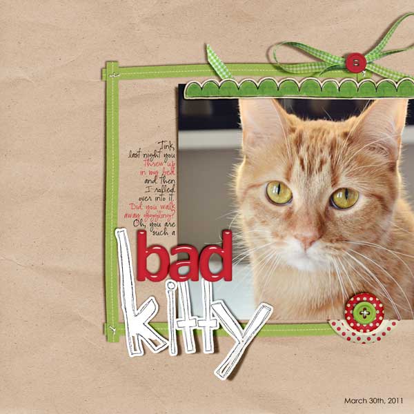 Bad Kitty