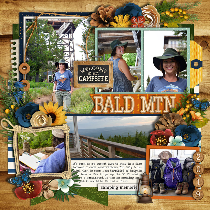 Bald Mtn