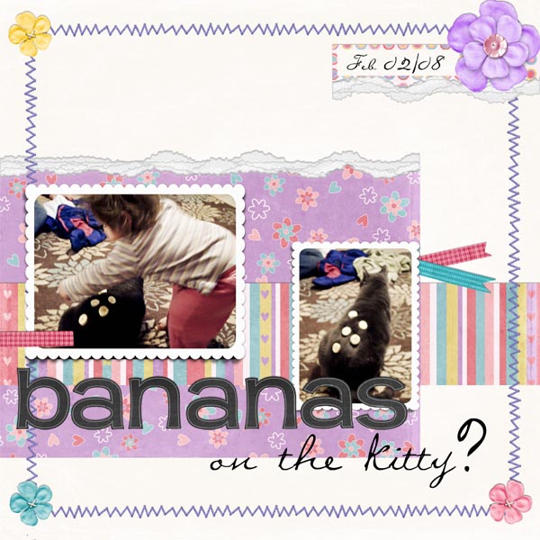 Bananas on the kitty?