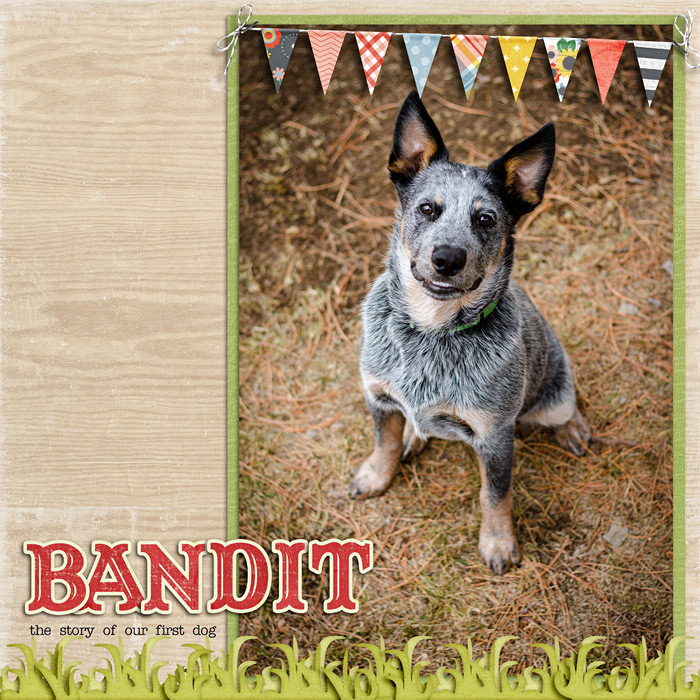 Bandit
