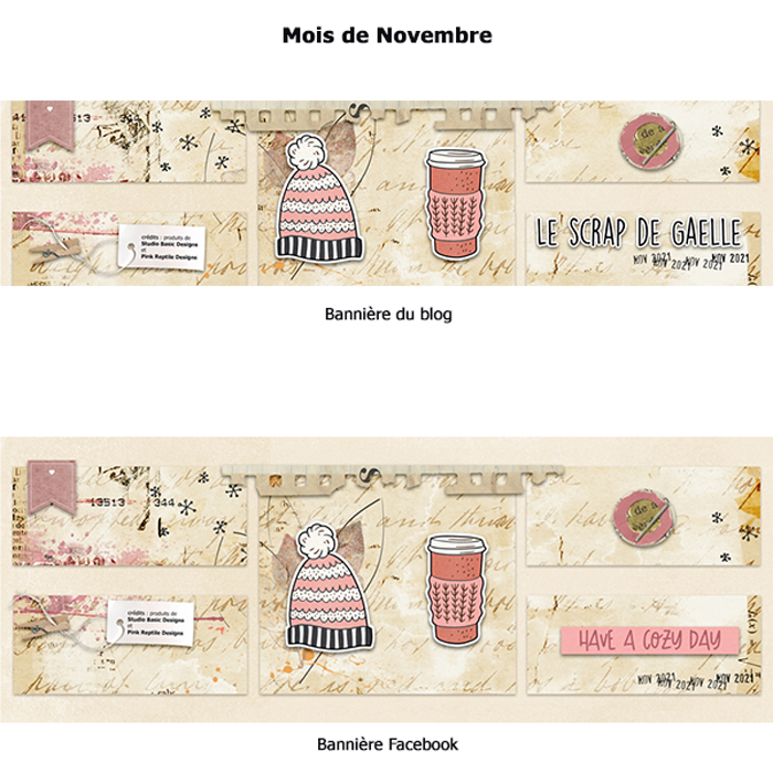 Banniere | Novembre 2021