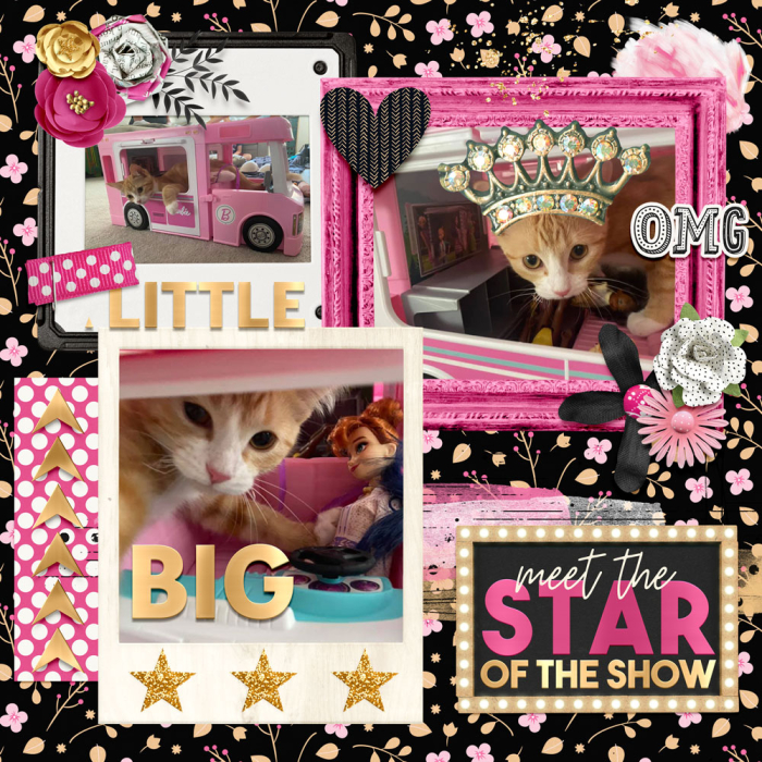 Barbie Camper