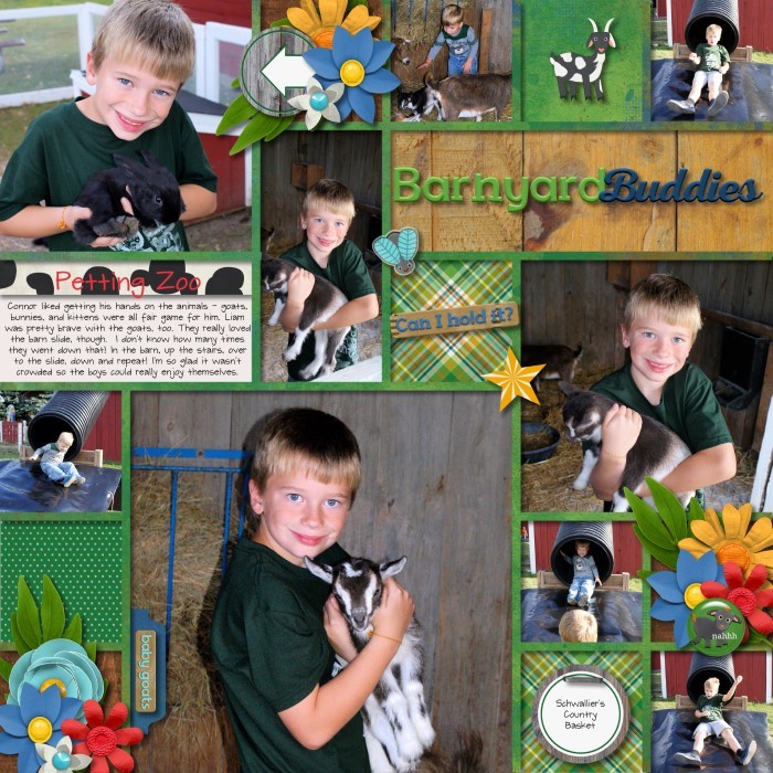 Barnyard buddies