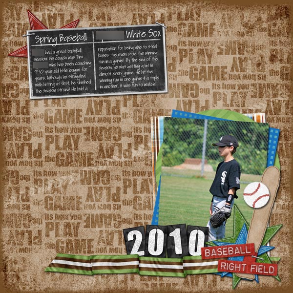 baseball 2010