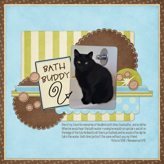 Bath Buddy