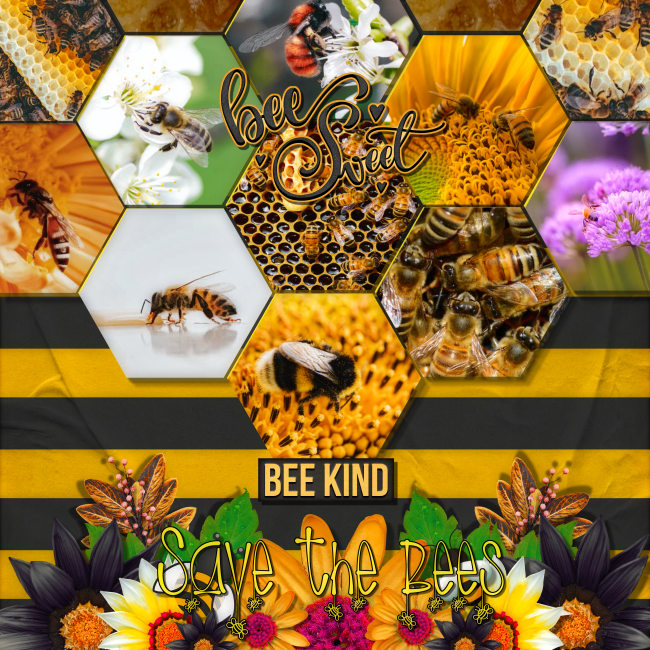 Be sweet , be kind ......save the bees