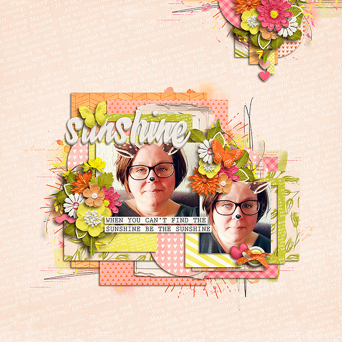 be the sunshine