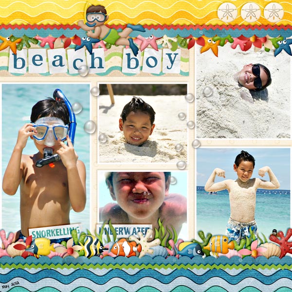 Beach Boy