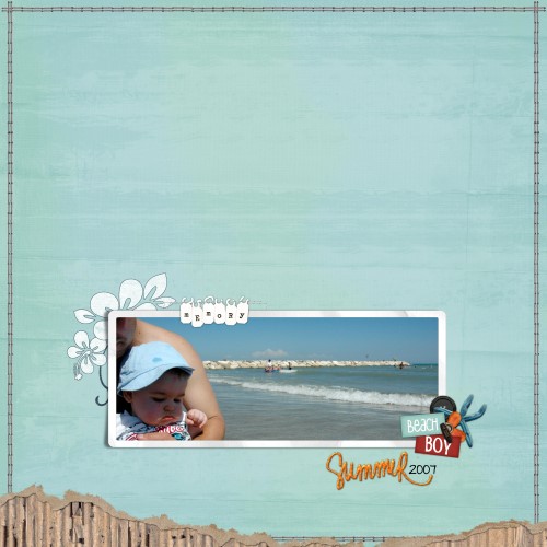 Beach Boy