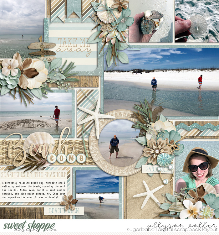 Beach Comb