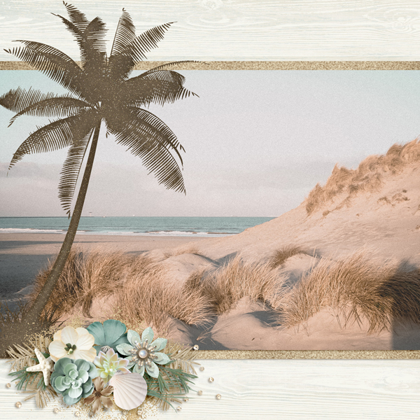 Beach Day