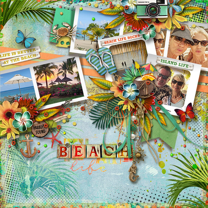 Beach Life