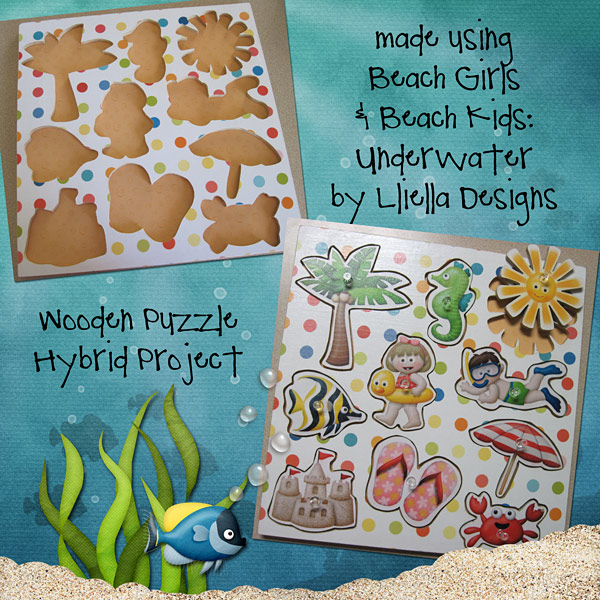 Beach Puzzle Hybrid Project