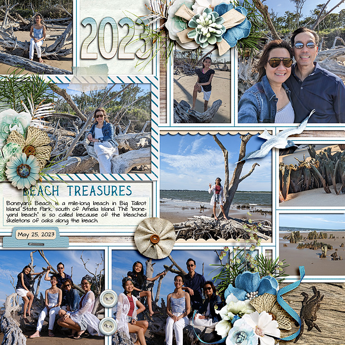 Beach treasures