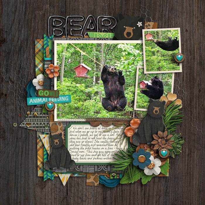 Bear