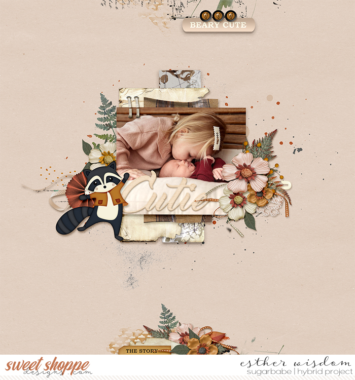 Beary Cute