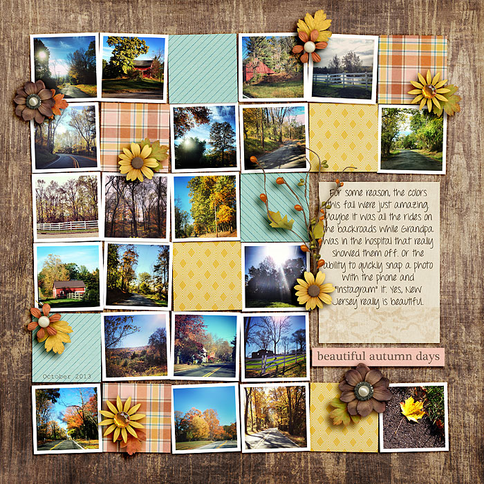 Beautiful Autumn Days