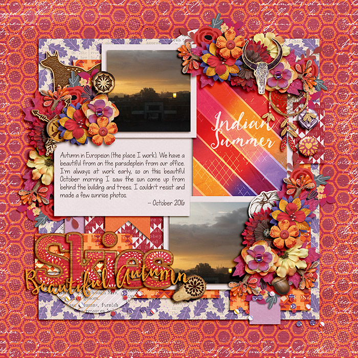 Beautiful Autumn Skies