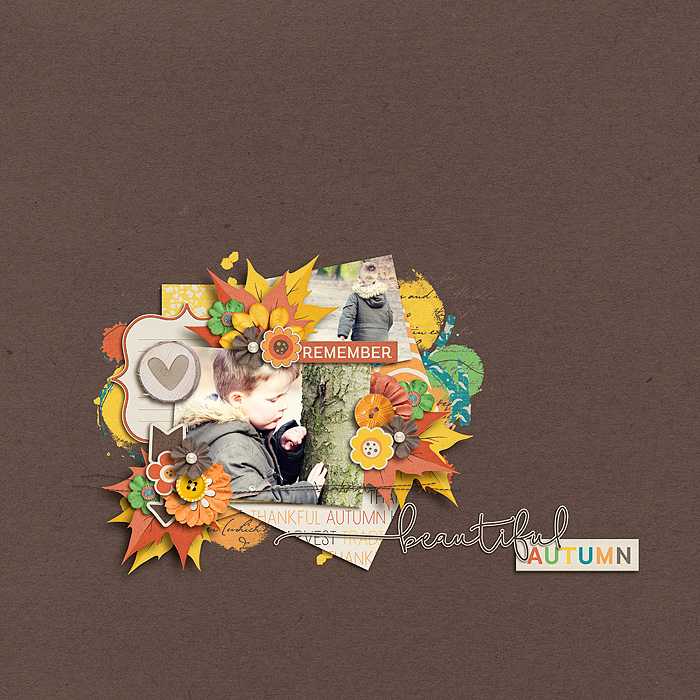 Beautiful Autumn