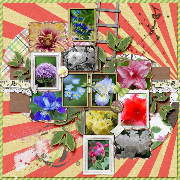Beautiful Blooms