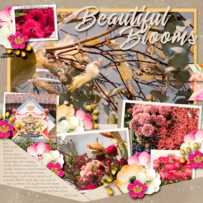 Beautiful Blooms