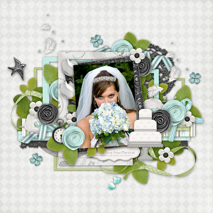 Beautiful Bride