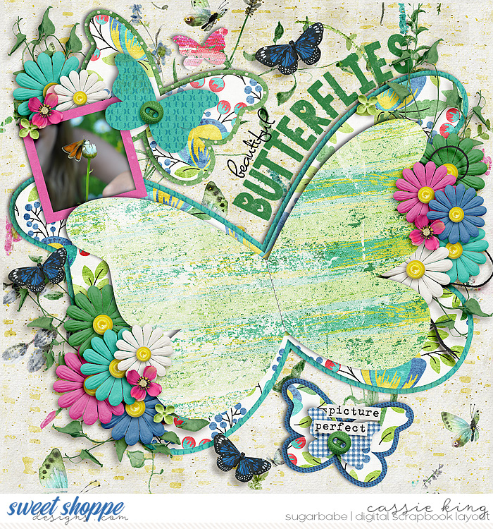 Beautiful Butterflies
