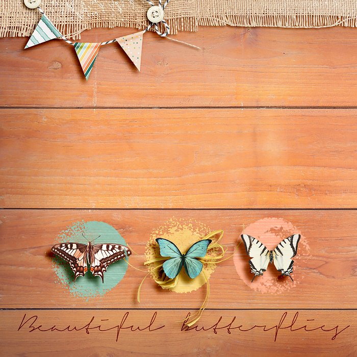 Beautiful butterflies