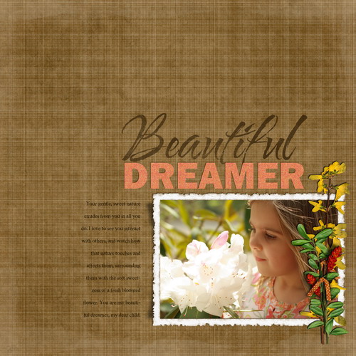 Beautiful Dreamer