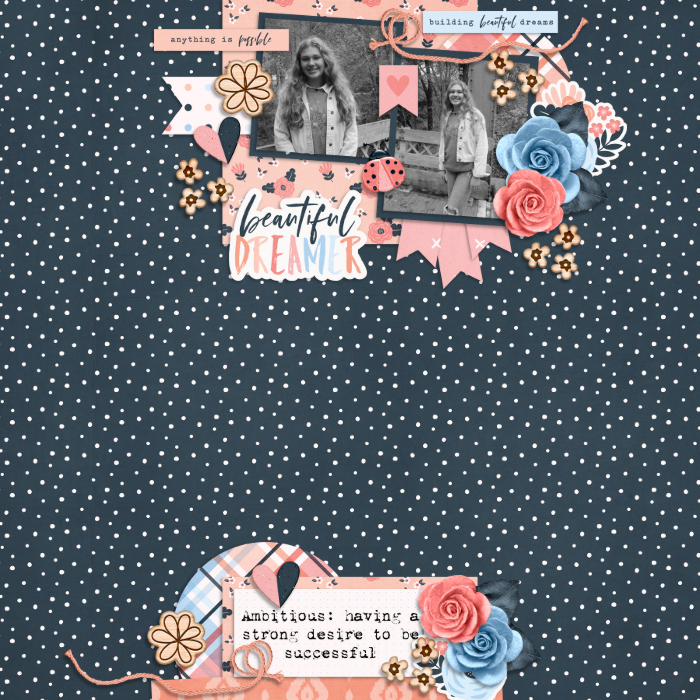Beautiful Dreamer