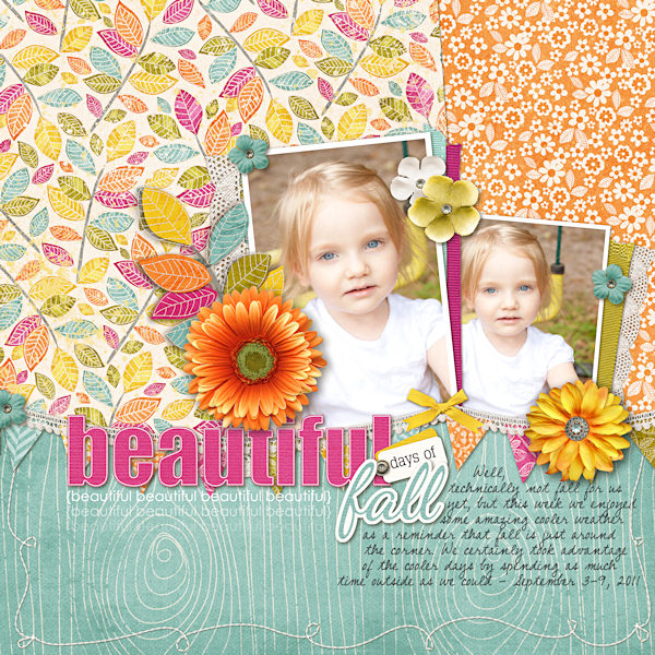 Beautiful Fall