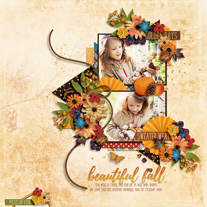 beautiful fall