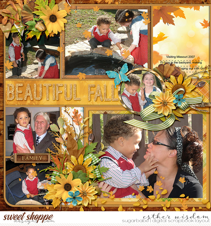 Beautiful Fall