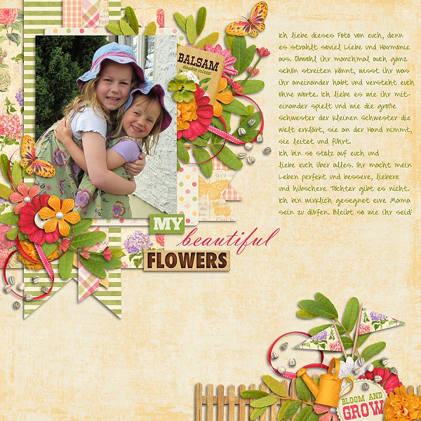 beautiful flowers
