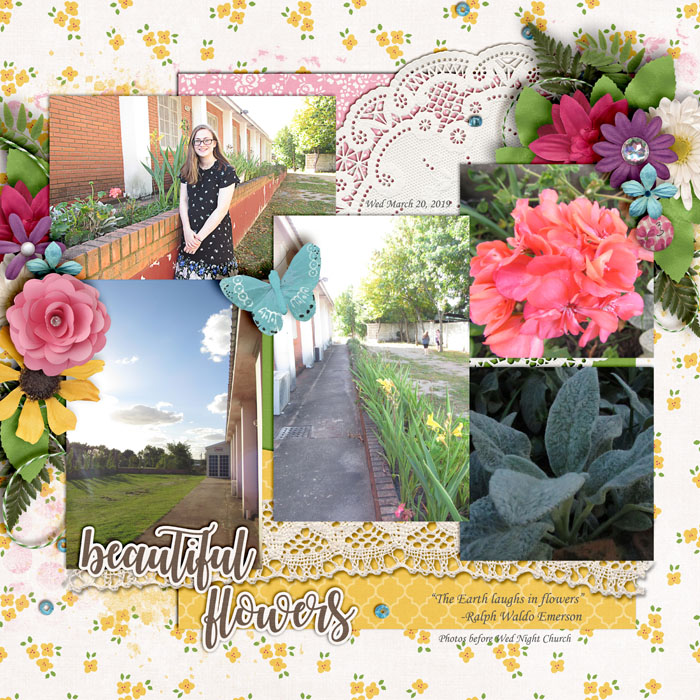 Beautiful Flowers
