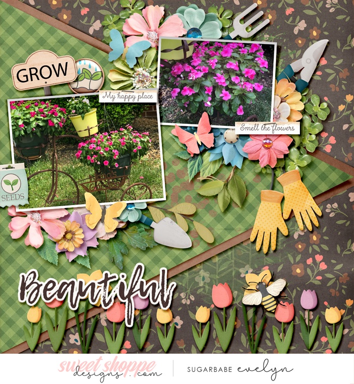 Beautiful Flowers