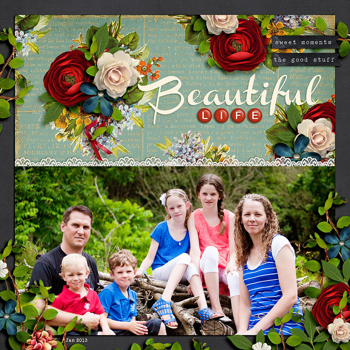 Beautiful Life