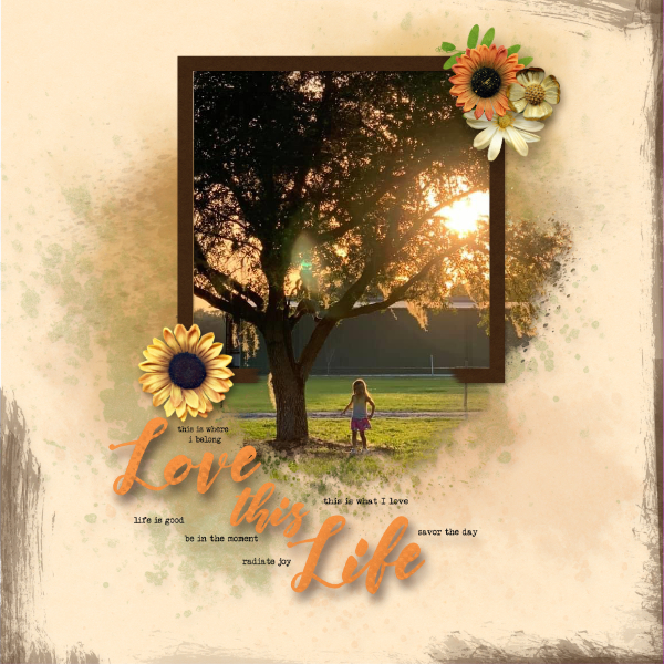 Beautiful Life