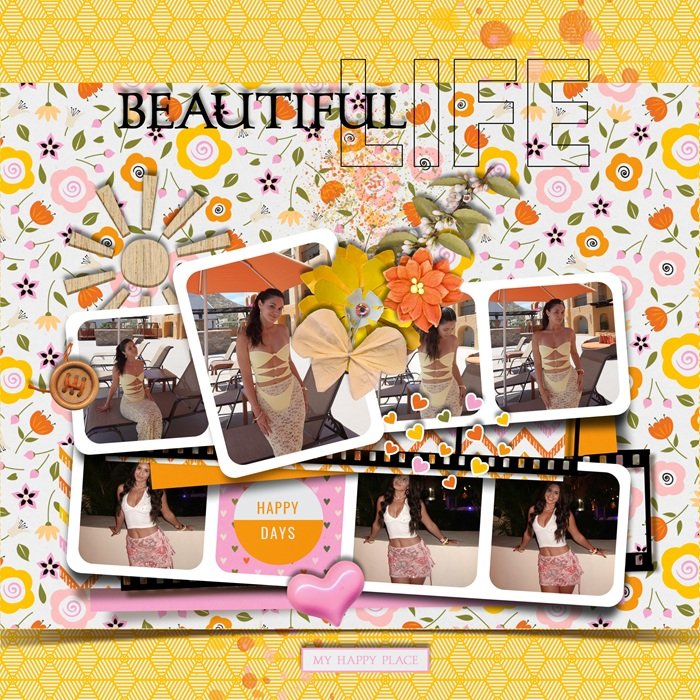 BEAUTIFUL LIFE
