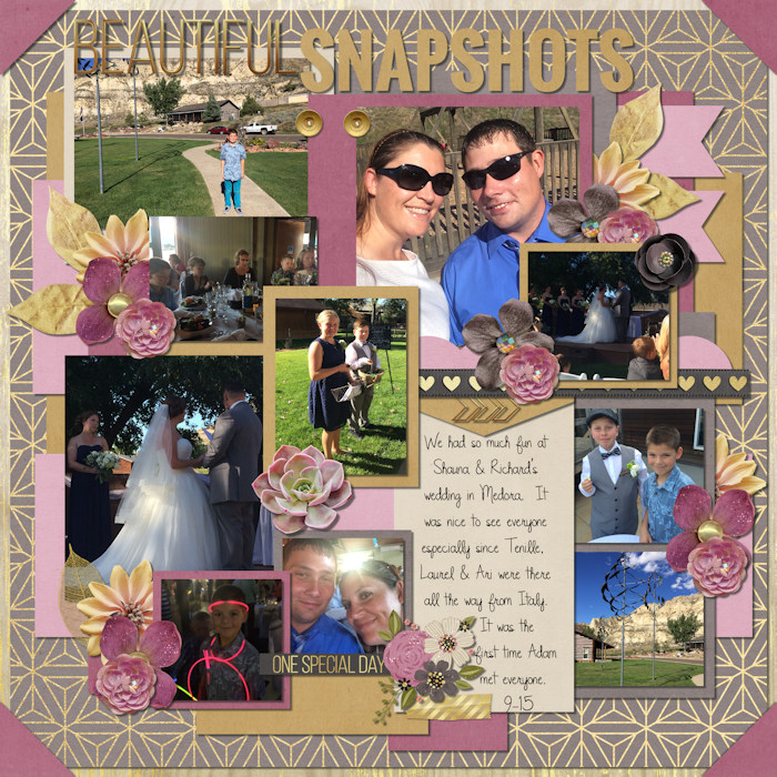 Beautiful Snapshots
