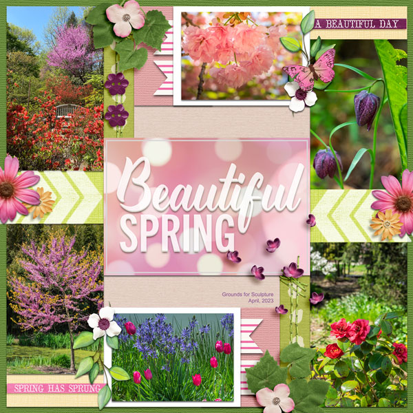 Beautiful Spring