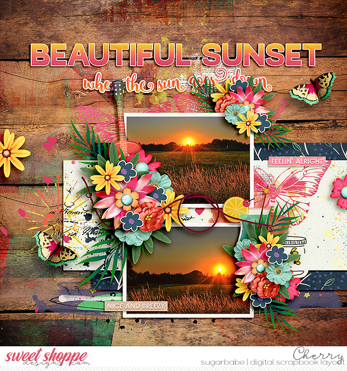 Beautiful Sunset